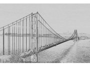 Vliesová fototapeta Dimex Golden Gate černobílá kresba XL-301 | 330x220 cm Fototapety vliesové