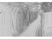 Vliesová fototapeta Dimex Sudy s vínem černobílá kresba painting black XL-319 | 330x220 cm Fototapety vliesové