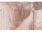 Vliesová fototapeta Dimex Sudy s vínem sépiová kresba XL-320 | 330x220 cm Fototapety vliesové