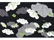 Vliesová fototapeta Dimex Listy na černém pozadí XL-330 | 330x220 cm Fototapety vliesové