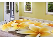 Fototapety na podlahu Plumérie FL-255-024, rozměry 255 x 170 cm Samolepící fototapety - Fototapety na podlahu