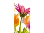 Samolepící fototapeta na dveře DL011 Gerbera, 95x210 cm Fototapety na dveře