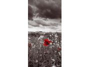 Samolepící fototapeta na dveře DL012 Poppies, 95x210 cm Fototapety na dveře
