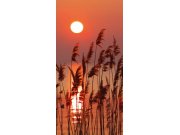Samolepící fototapeta na dveře DL013 Red on the lake, 95x210 cm Fototapety na dveře