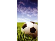 Samolepící fototapeta na dveře DL026 Soccer ball, 95x210 cm Fototapety na dveře