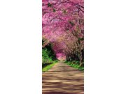 Samolepící fototapeta na dveře DL056 Alej, 95x210 cm Fototapety na dveře