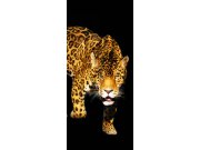 Samolepící fototapeta na dveře DL058 Panter, 95x210 cm Fototapety na dveře