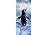 Samolepící fototapeta na dveře DL059 Tučňák, 95x210 cm Fototapety na dveře