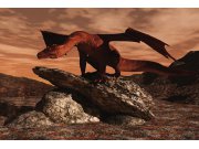 Vliesová fototapeta Dimex Drak XL-231 | 330x220 cm Fototapety vliesové