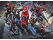 Fototapeta AG Spiderman FTDM-0751 | 160x115 cm Fototapety pro děti