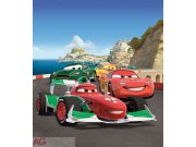 Fototapeta AG Cars závod FTDXL-1929 | 180x202 cm Fototapety pro děti