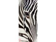 Fototapeta AG Zebra FTV-0211 | 90x202 cm Fototapety na dveře