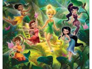 3D fototapeta Walltastic Fairies 41325 | 305x244 cm Fototapety pro děti