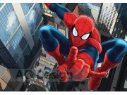 Fototapeta AG Spiderman FTDS-2209 | 360x254 cm Fototapety pro děti