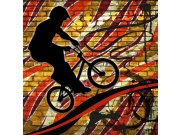 Vliesová fototapeta Dimex Červený cyklista L-423 | 220x220 cm Fototapety vliesové