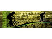 Vliesová fototapeta Dimex Zelený cyklista M-388 | 330x110 cm Fototapety vliesové
