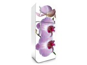 Fototapeta na lednice Růžová orchidej FR-180-024, 65x180 cm Samolepící fototapety - Na lednice