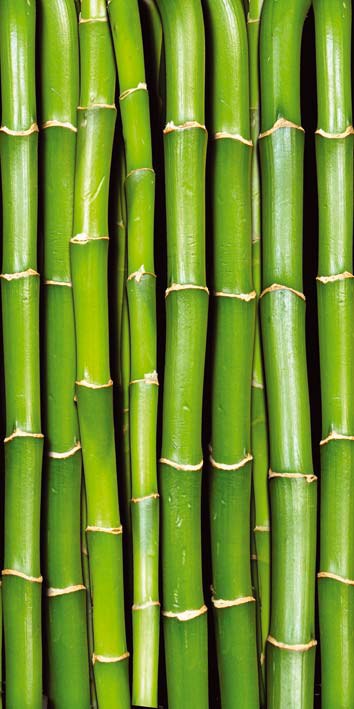 Fototapety na dveře - Samolepící fototapeta na dveře DL021 Bamboo, 95x210 cm Samolepící fototapeta na dveře DL021 Bamboo, 95x210 cm - Fototapety na dveře