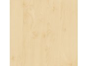 Samolepící folie bříza 200-5475 d-c-fix, šíře 90 cm Samolepící folie Dřevo
