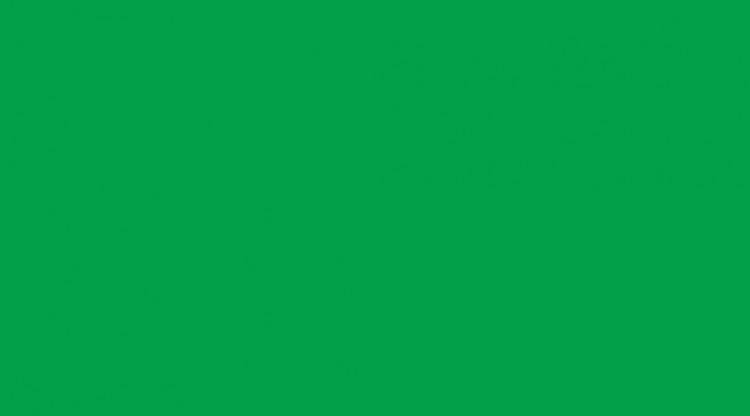 Samolepící folie zelená lesklá 200-2423 d-c-fix, šíře 45 cm - Samolepící fólie jednobarevné