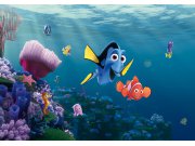 Fototapeta AG Nemo FTDNXXL-5061 | 360x270 cm Fototapety pro děti
