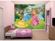 3D fototapeta Walltastic Disney Princezny 43800 | 305x244 cm Fototapety pro děti