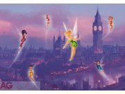 Fototapeta AG Fairies FTDNXXL-5008 | 360x270 cm Fototapety pro děti