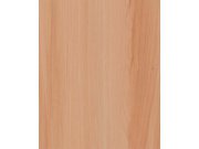 Samolepící fólie na dveře Jasan Florida 99-6195 2,1 m x 90 cm Samolepící folie na dveře