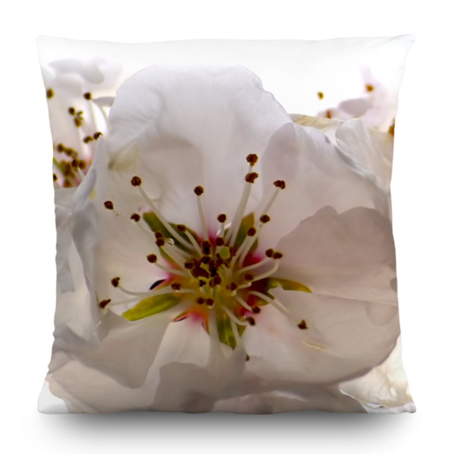 Dekorativní polštář Květ jabloně CN-3606, 45 x 45 cm - Dekorativní polštáře