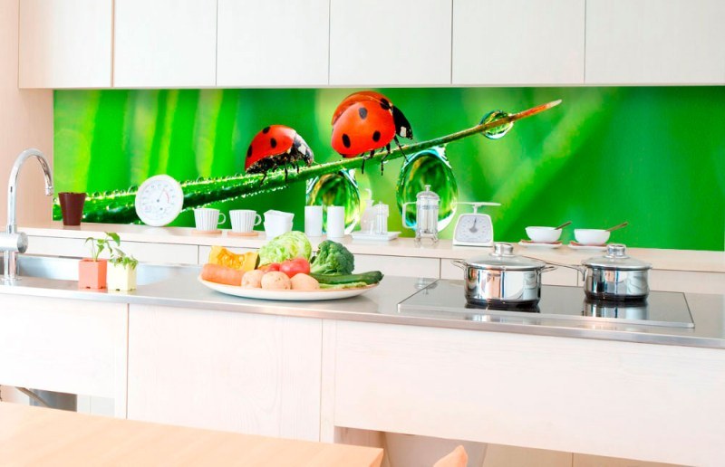 Samolepící fototapety - Na kuchyňskou linku - Samolepicí fototapeta do kuchyně - Beruška KI-350-015 | 350x60 cm Samolepicí fototapeta do kuchyně - Beruška KI-350-015 | 350x60 cm - Na kuchyňskou linku