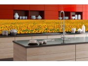 Samolepicí fototapeta do kuchyně - Lány slunečnic KI-350-030 | 350x60 cm Samolepící fototapety - Na kuchyňskou linku