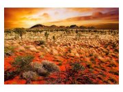 Vliesové fototapety na zeď Austrálie | MS-5-0050 | 375x250 cm