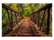 Vliesové fototapety na zeď Železnice v lese | MS-5-0055 | 375x250 cm