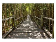 Vliesové fototapety na zeď Mangrovový les | MS-5-0059 | 375x250 cm