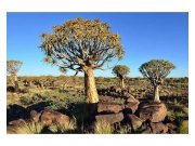 Vliesové fototapety na zeď Namibie | MS-5-0103 | 375x250 cm