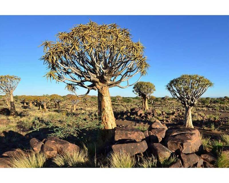 Vliesové fototapety na zeď Namibie | MS-5-0103 | 375x250 cm - Fototapety vliesové