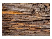 Vliesové fototapety na zeď Kůra stromu | MS-5-0159 | 375x250 cm Fototapety vliesové