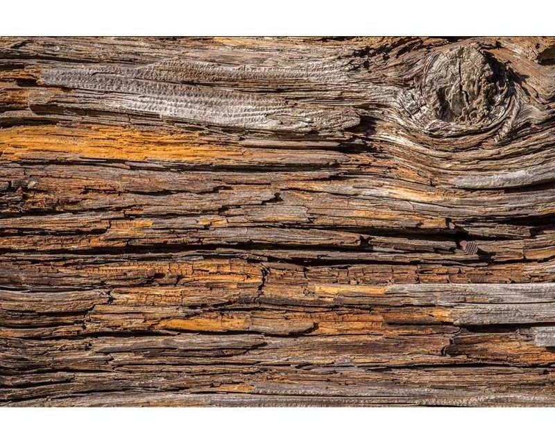 Vliesové fototapety na zeď Kůra stromu | MS-5-0159 | 375x250 cm