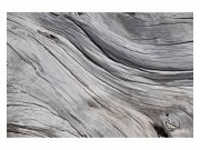 Vliesové fototapety na zeď Struktura stromu | MS-5-0160 | 375x250 cm Fototapety vliesové