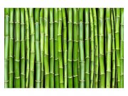Vliesové fototapety na zeď Bambus | MS-5-0165 | 375x250 cm Fototapety vliesové