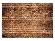 Vliesové fototapety na zeď Stará cihlová zeď | MS-5-0167 | 375x250 cm