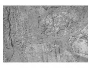 Vliesové fototapety na zeď Betonová podlaha | MS-5-0173 | 375x250 cm Fototapety vliesové