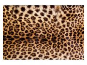 Vliesové fototapety na zeď Leopardí kůže | MS-5-0184 | 375x250 cm