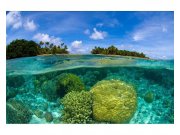 Vliesové fototapety na zeď Korálový útes | MS-5-0200 | 375x250 cm