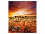 Vliesové fototapety na zeď Austrálie | MS-3-0050 | 225x250 cm
