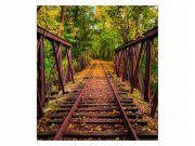 Vliesové fototapety na zeď Železnice v lese | MS-3-0055 | 225x250 cm
