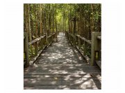 Vliesové fototapety na zeď Mangrovový les | MS-3-0059 | 225x250 cm
