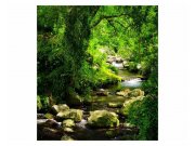 Vliesové fototapety na zeď Horský potok | MS-3-0079 | 225x250 cm Fototapety vliesové