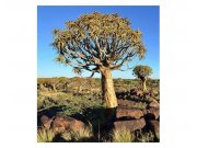 Vliesové fototapety na zeď Namibie | MS-3-0103 | 225x250 cm