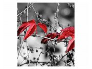 Vliesové fototapety na zeď červené listí na černém pozadí | MS-3-0110 | 225x250 cm